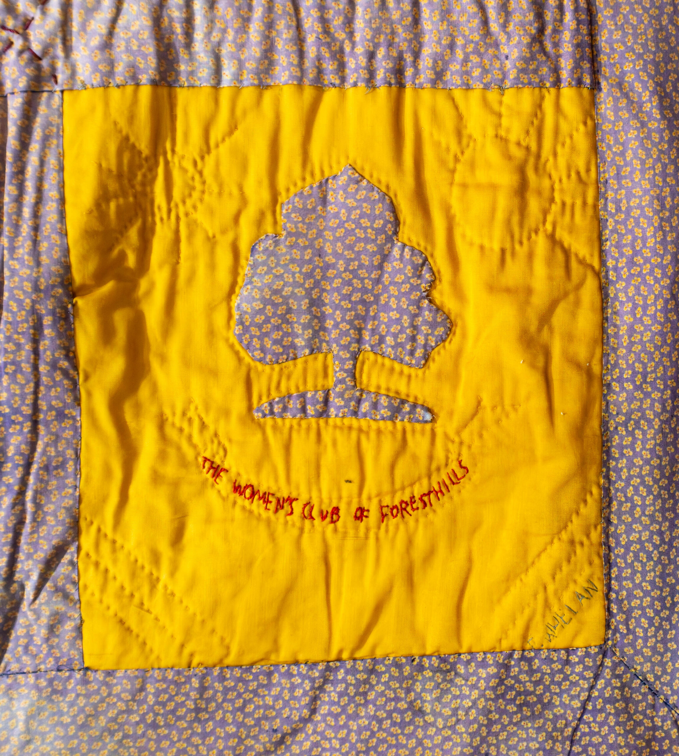Tree of Life - Symbol of FHWC